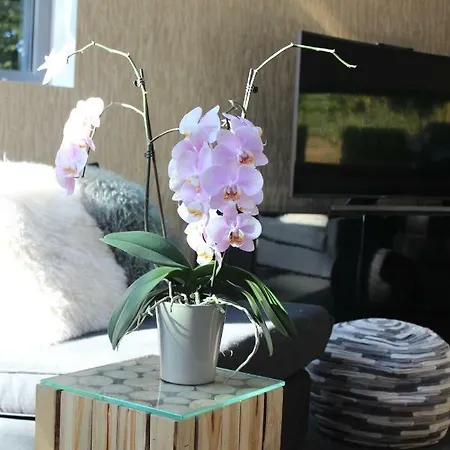 Table Et Particuliere 4* Mons (Bergen)