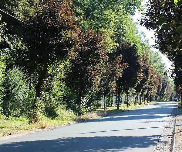 Table Et Particuliere Bed & Breakfast Mons